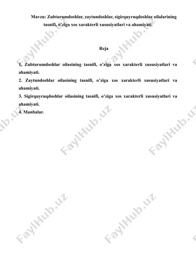 zubturumdoshlar, zaytundoshlar, sigirquyruqdoshlar oilalarining tasnifi, o’ziga xos xarakterli xususiyatlari va ahamiyati. referat, 6 sahifa. — DOC
