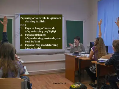 poyaning o’tkazuvchi to’qimalari ularning tuzilishi — PPT
