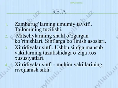 zamburug’lar. xitridiyalar sinfi — PPTX
