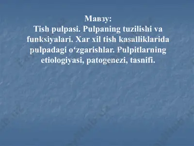 tish pulpasi. pulpaning tuzilishi va funksiyalari — PPTX