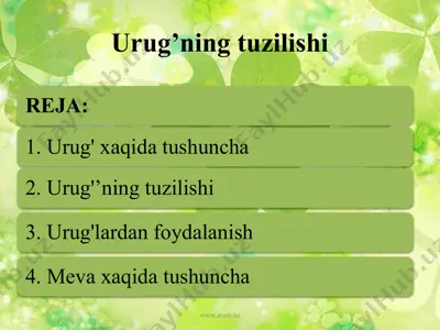 urug'ning tuzilishi — PPTX