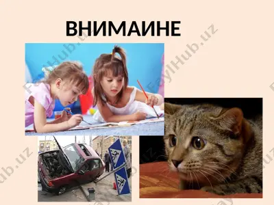 внимание — основные характеристики и функции — PPT