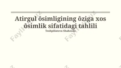 atirgul o'simligining o'ziga xos o'simlik sifatidagi tahlili — PPTX