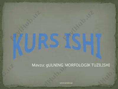 gullarning morfologik tuzilishi — PPTX