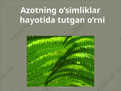 azotning o’simliklar hayotida tutgan o’rni — PPTX