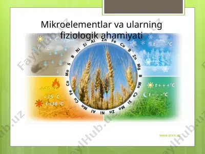 mikroelementlar va ularning fiziologik ahamiyati — PPTX