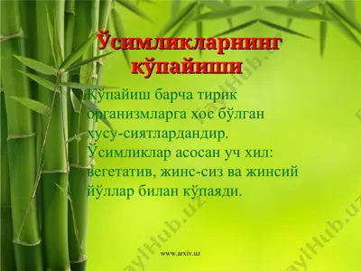 ўсимликларнинг кўпайиши — PPT