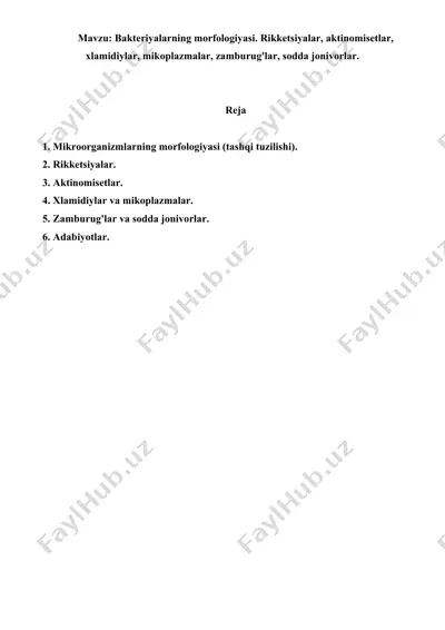 bakteriyalarning morfologiyasi. rikketsiyalar, aktinomisetlar, xlamidiylar, mikoplazmalar, zamburug'lar, sodda jonivorlar. referat 8 bet. — DOC