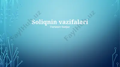 soliq bilan bog'liq javobgarlik va konsultatsiya xizmati — PPTX