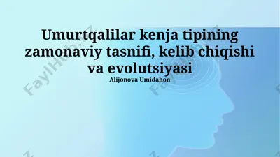 umurtqalilar kenja tipining zamonaviy tasnifi, kelib chiqishi va evolutsiyasi — PPTX