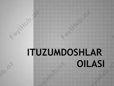 ituzumdoshlar oilasi — PPTX