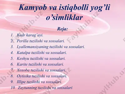 kamyob va istiqbolli yog’li o’simliklar — PPTX