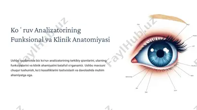 koʻruv analizatorining funksional va klinik anatomiyasi — PPTX