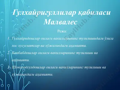 гулхайригуллилар қабиласи малвалес — PPTX
