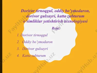 dorivor tirnoqgul, oddiy bo’ymodaron, dorivor gulxayri, katta zubturum o’simliklar yetishtirish texnologiyasi — PPTX