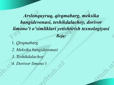 arslonquyruq, qirqmabarg, meksika bangidevonasi, teshikdalachoy, dorivor limono’t o’simliklari yetishtirish texnologiyasi — PPTX