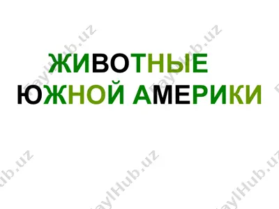 животные южной америки — PPT