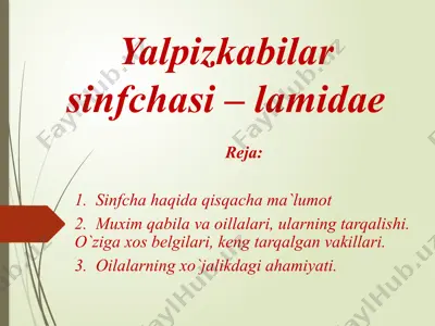 yalpizkabilar sinfchasi – lamidae — PPTX