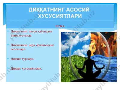 диққатнинг асосий хусусиятлари — PPT