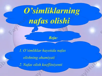 о‘simliklarning nafas olishi — PPTX