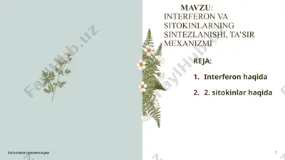 interferon va sitokinlarning sintezlanishi, ta’sir mexanizmi — PPTX