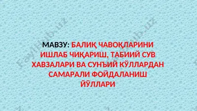 балиқ чавоқларини ишлаб чиқариш, табиий сув ҳавзалари ва сунъий кўллардан самарали фойдаланиш йўллари — PPT