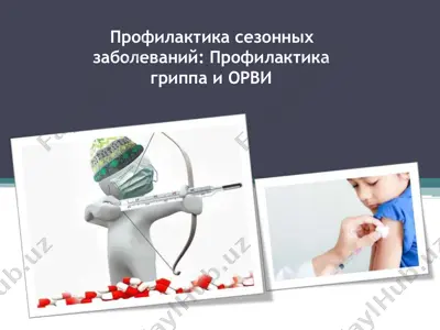 профилактика сезонных заболеваний: профилактика гриппа и орви — PPTX