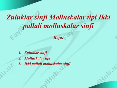 zuluklar sinfi molluskalar tipi ikki pallali molluskalar sinfi — PPTX