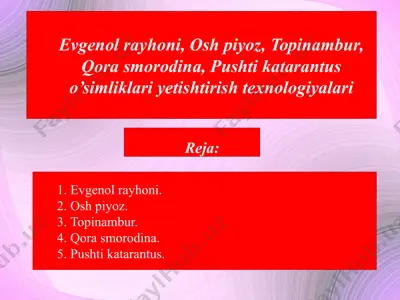 evgenol rayhoni, osh piyoz, topinambur, qora smorodina, pushti katarantus o’simliklari yetishtirish texnologiyalari — PPTX
