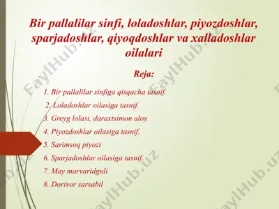 bir pallalilar sinfi, loladoshlar, piyozdoshlar, sparjadoshlar, qiyoqdoshlar va xalladoshlar oilalari — PPTX