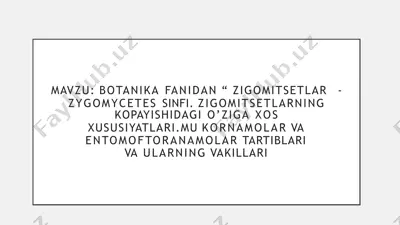 botanika fanidan “zigomitsetlar - zygomycetes sinfi” — PPTX