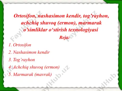ortosifon, nashasimon kendir, tog’rayhon, achchiq shuvoq (ermon), marmarak o’simliklar o‘stirish texnologiyasi — PPTX