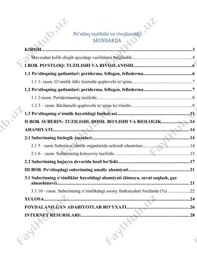o‘simliklarda suberin moddasining hosil bo‘lishi va po‘stloq to‘qimalarining tuzilishi — DOCX