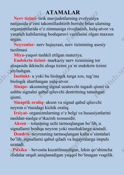 nerv tizimi va psixologik atamalar taqdimoti — DOCX