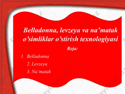 belladonna, levzeya va na’matak o’simliklar o’stirish texnologiyasi — PPTX