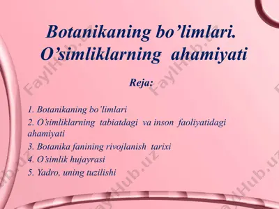 botanikaning bo’limlari. o’simliklarning ahamiyati — PPTX