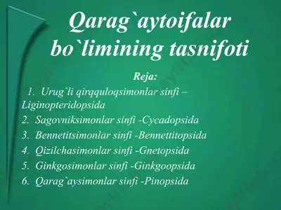 qarag`aytoifalar bo`limining tasnifoti — PPTX