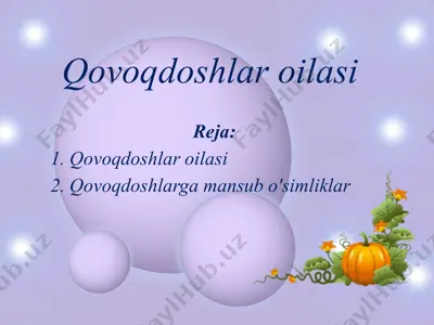 qovoqdoshlar oilasi — PPTX