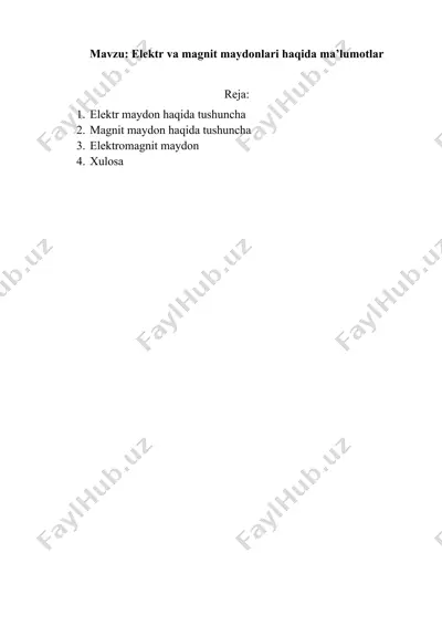 elektr va magnit maydonlari haqida ma’lumotlar — DOCX