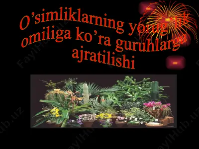 o’simliklarning yorug’lik omiliga ko’ra guruhlarga ajratilishi — PPTX