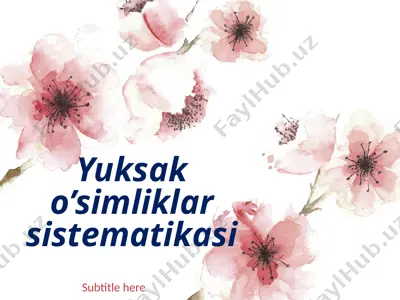 yuksak o’simliklar sistematikasi — PPTX