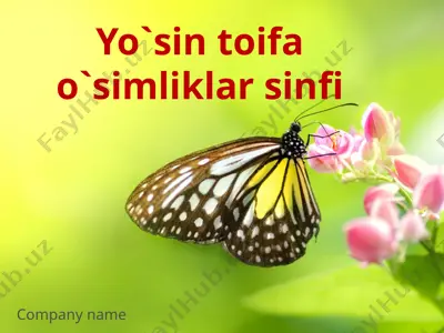 yo`sin toifa o`simliklar sinfi — PPTX