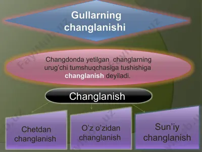 gullarning changlanishi — PPTX