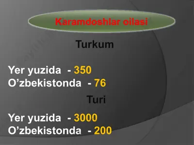 karamdoshlar oilasi — PPTX
