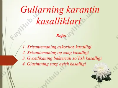 gullarning karantin kasalliklari — PPTX