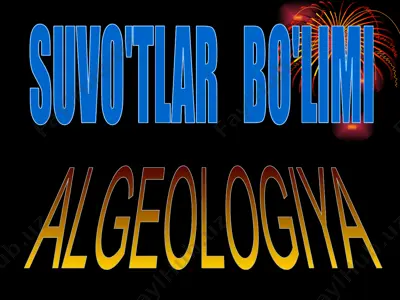 suvo'tlar bo'limi boyicha slayd test — PPTX