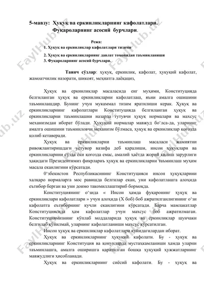 ҳуқуқ ва еркинликларнинг кафолатлари — DOCX
