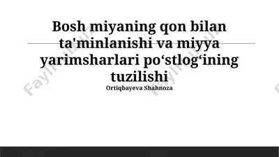 bosh miyaning qon bilan ta'minlanishi va miyya yarimsharlari po‘stlog‘ining tuzilishi — PPTX