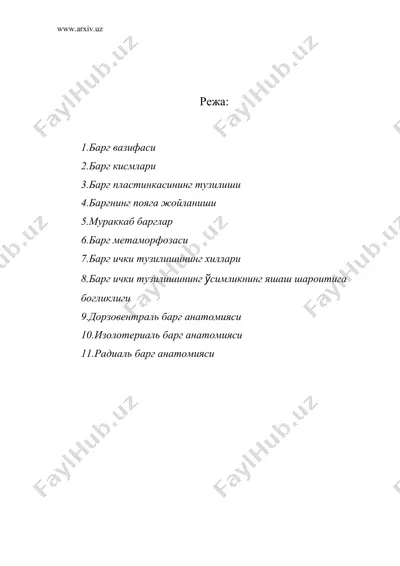 барг морфологияси.баргнинг анатомик — DOC