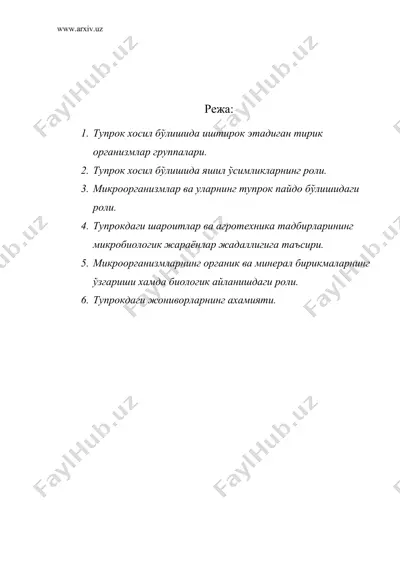 тупрок xосил бўлишида тирик организмларнинг роли — DOC